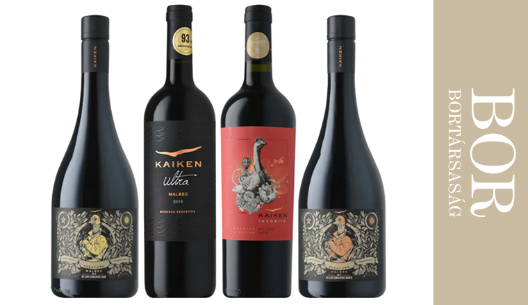 Malbec the new Argentine star