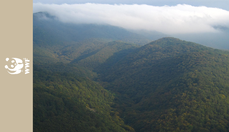 Fundraising for nature at MOM Park
