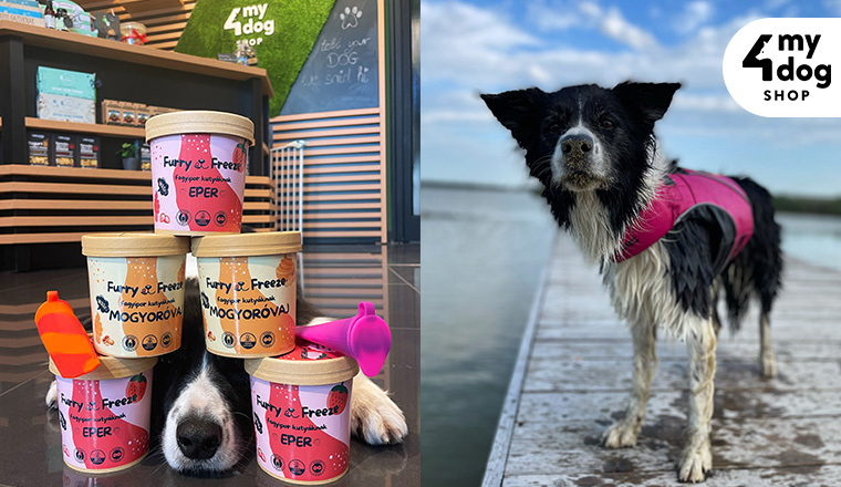 Refreshing New Products for Your Four-Legged Friends