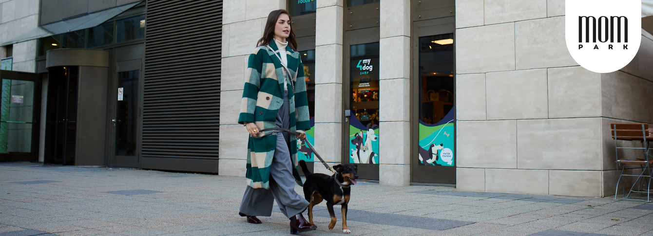 Coordinated Style with Your Four-Legged Friend