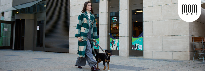 Coordinated Style with Your Four-Legged Friend