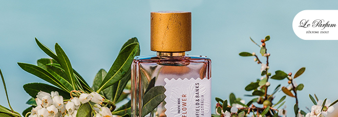 This Summer’s Signature Fragrance Has Arrived! This Summer’s Signature Fragrance Has Arrived!