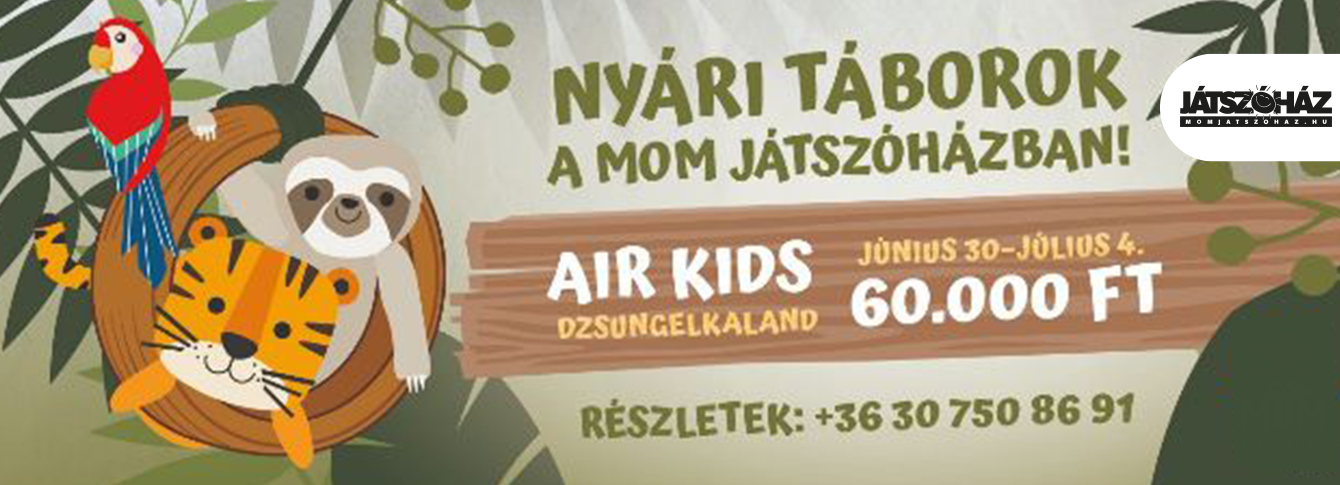 AIR KIDS Day Camp at MOM Playhouse