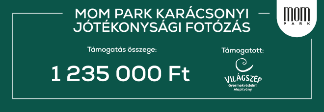 Nearly 1.3 Million Forints Raised at Our Charity Photoshoot