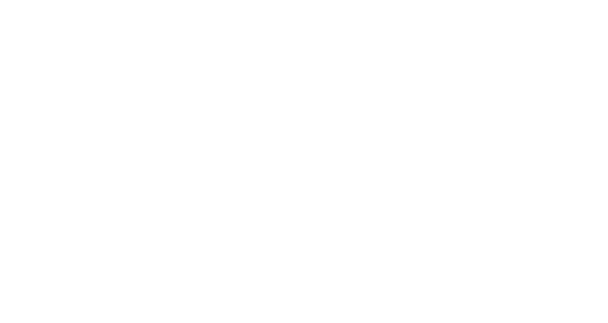 Zing Burger